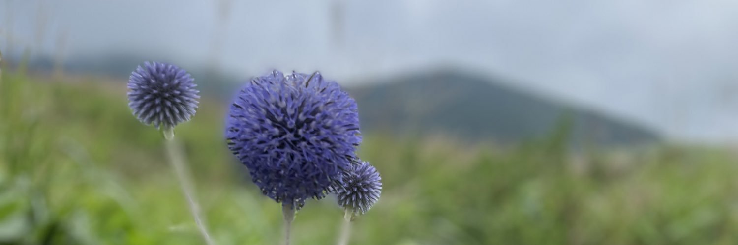 marb1124's profile banner image