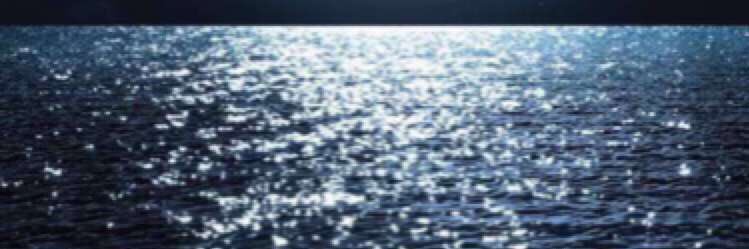 الملكي / 💚🇸🇦🇸🇦🇸🇦 banner