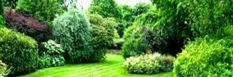 gaurav_hari's profile banner image