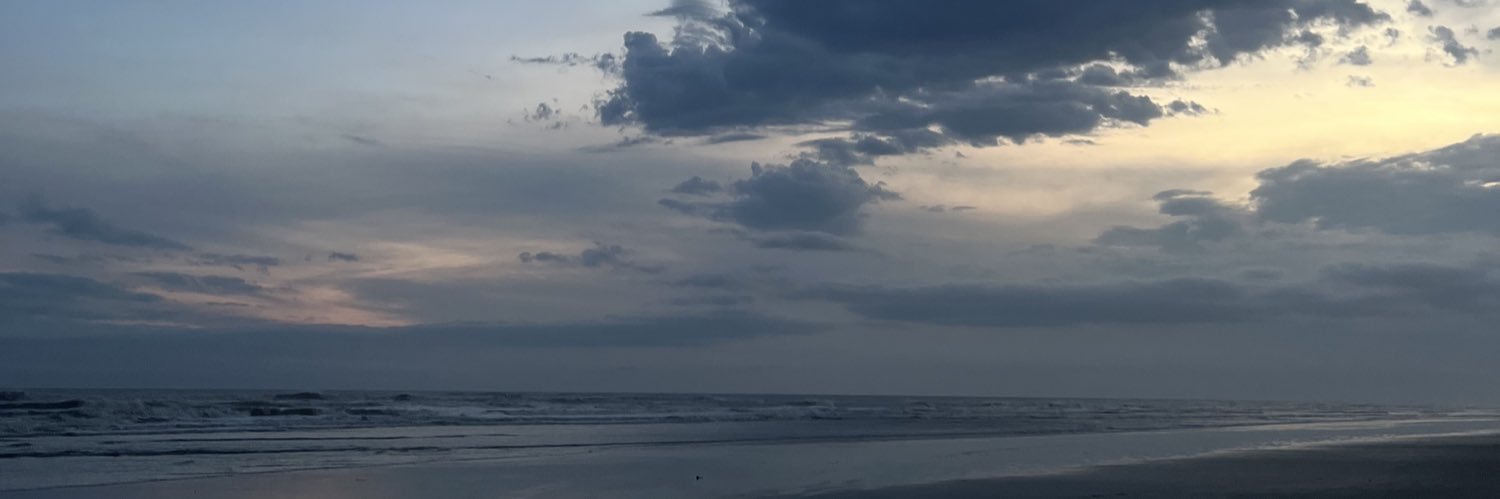 _carolcvx's profile banner image