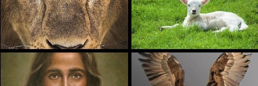 eskay4me's profile banner image