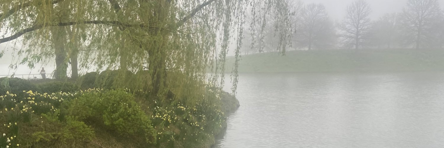 Holly’Go’Heavy banner