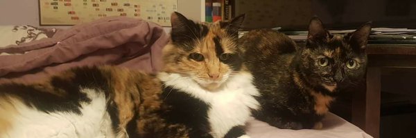 CleeWeezy Profile Banner