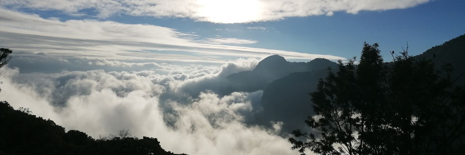 nitin_narayanan's profile banner image