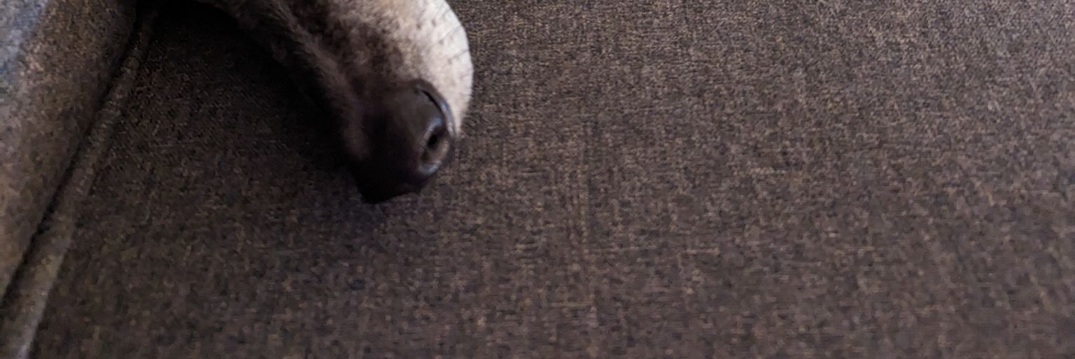 JessicaJasper3's profile banner image