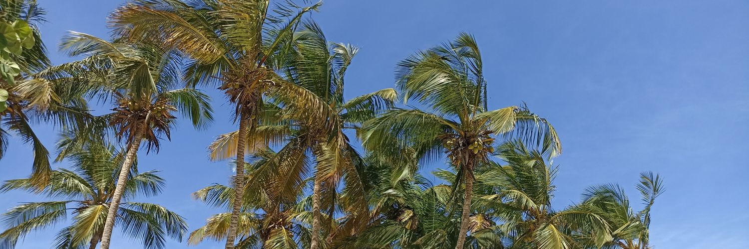 NairoHurtado's profile banner image