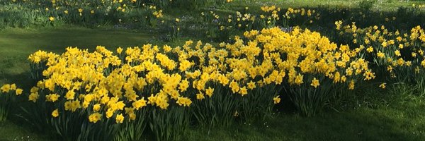 Peterhouse_Cam Profile Banner