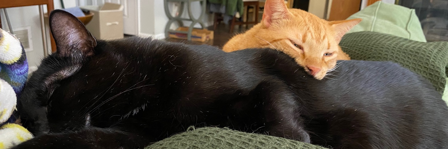 Natalie Luhrs banner