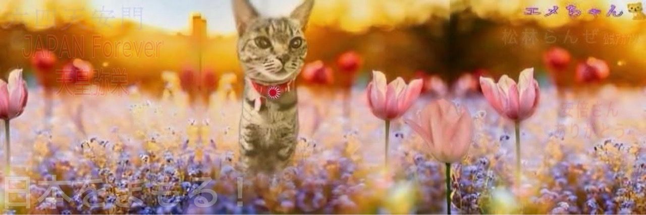 松林らんぜ🇯🇵 banner