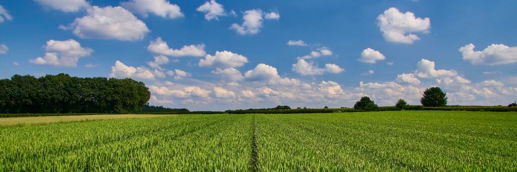 LTO Brussel 🇪🇺 banner