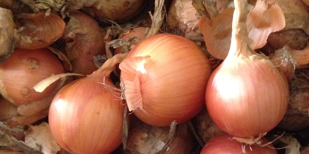 Suffolk Produce Ltd banner