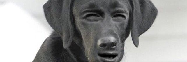 hiljaittybitty's profile banner image