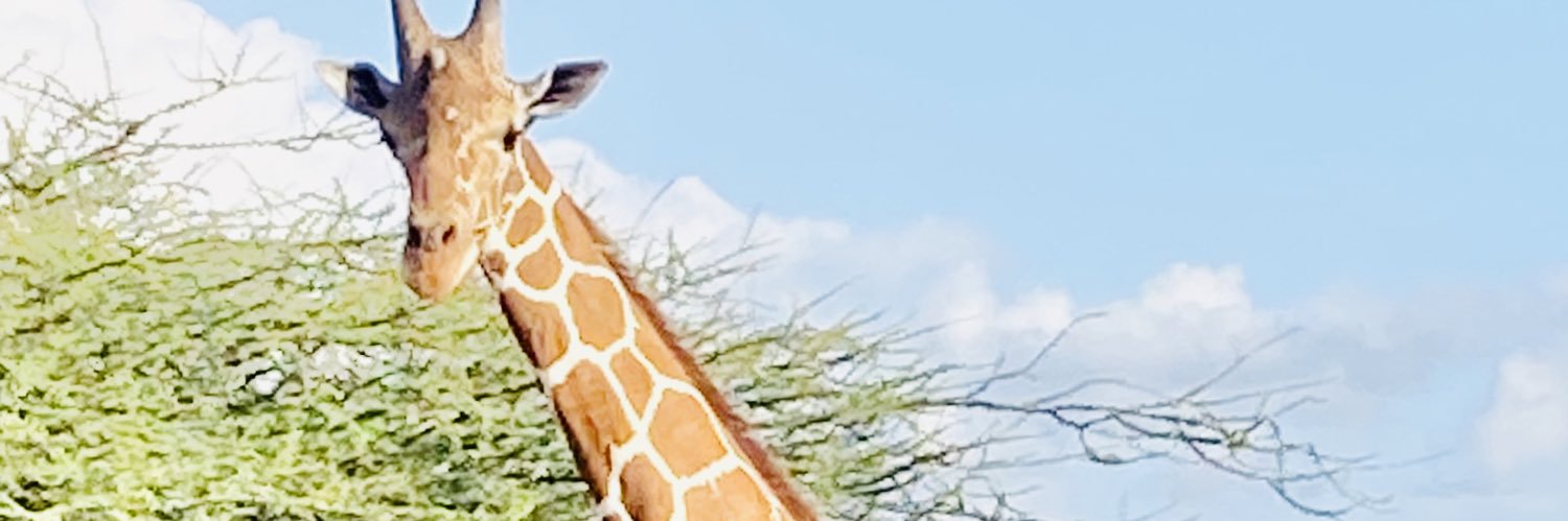 TheTrueVoice_'s profile banner image