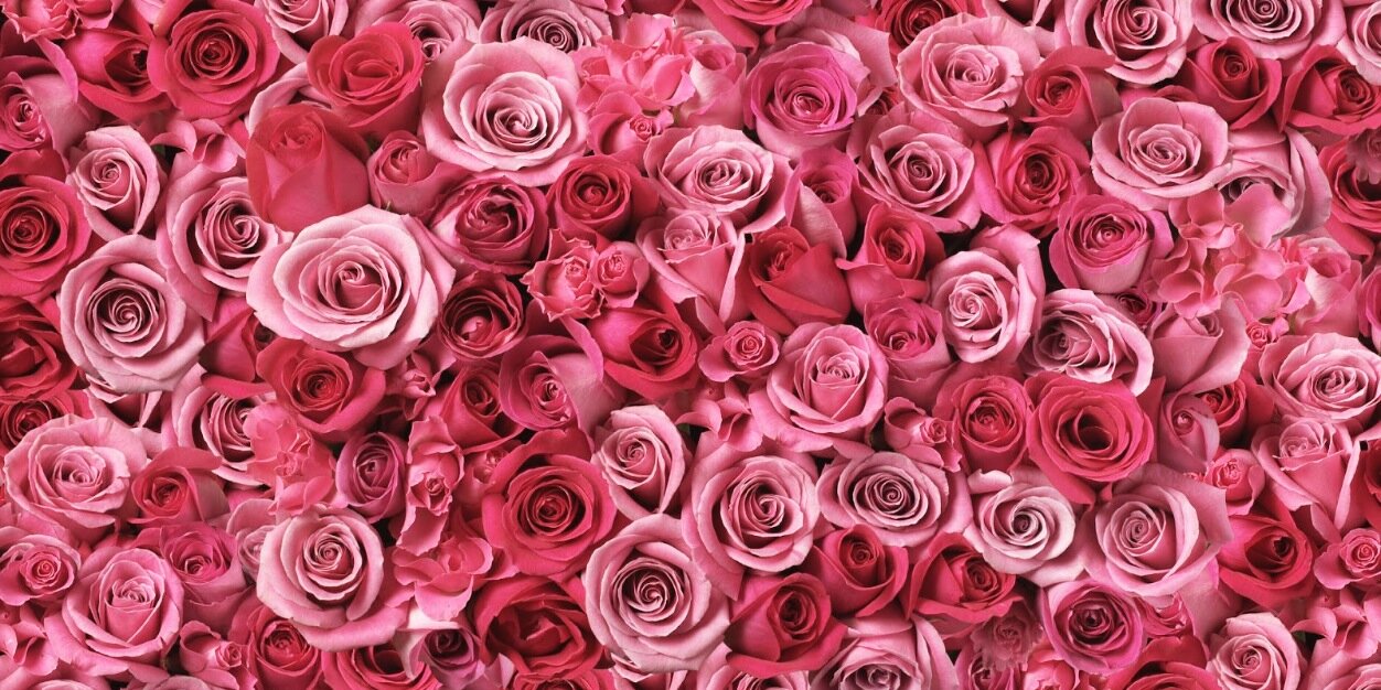 _SaraySanchez's profile banner image