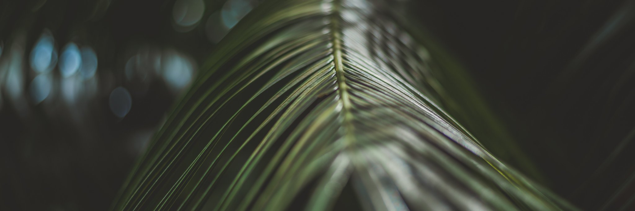 Limber_up's profile banner image