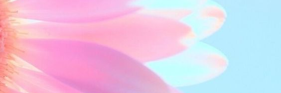 nehakariba's profile banner image