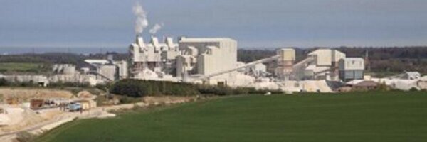 SingletonBirch Profile Banner