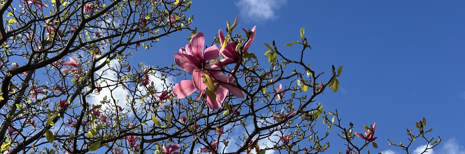 TheAutoapologist in Brasil banner