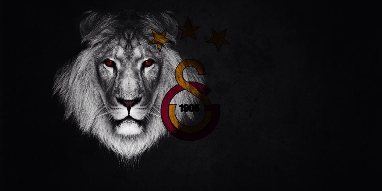 demiralptug's profile banner image