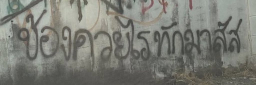 nini's banner