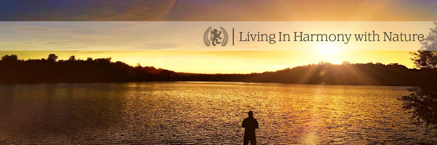 Innsbrook Resort News banner