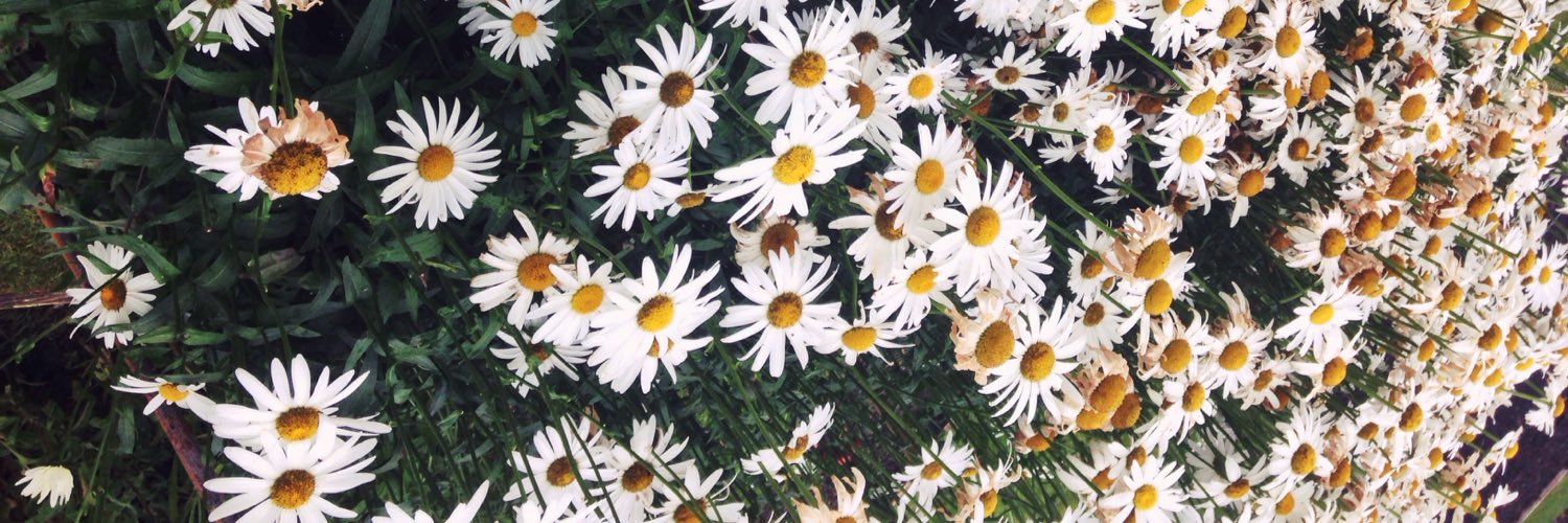 marghecolna's profile banner image