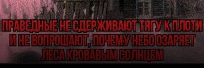 kapitankrot's profile banner image