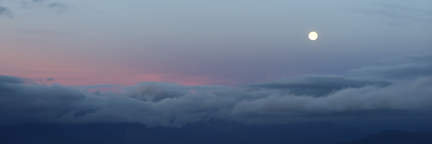 alip0nti's profile banner image