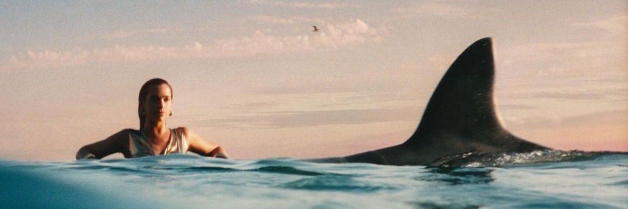 HIT ME RADICALLY HARD AND OPTIMISTICALLY SOFT banner