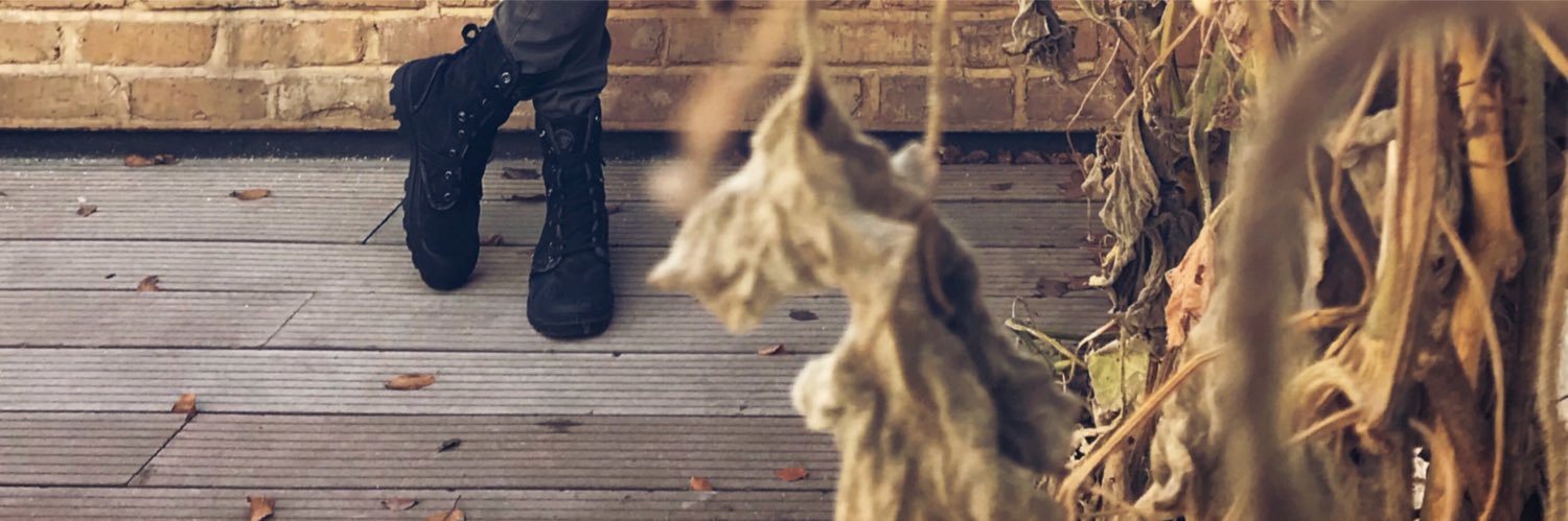 0x6B39's profile banner image