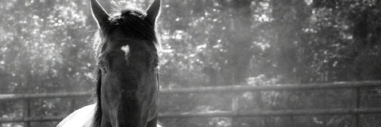 Timoko3's profile banner image