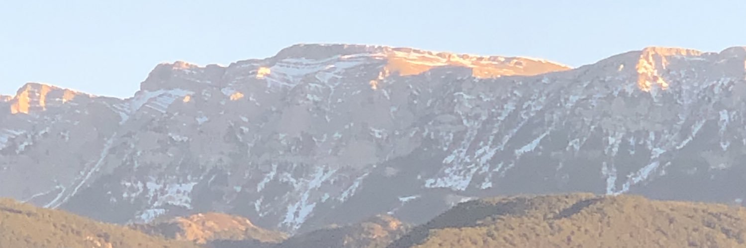 guiiamoor's profile banner image