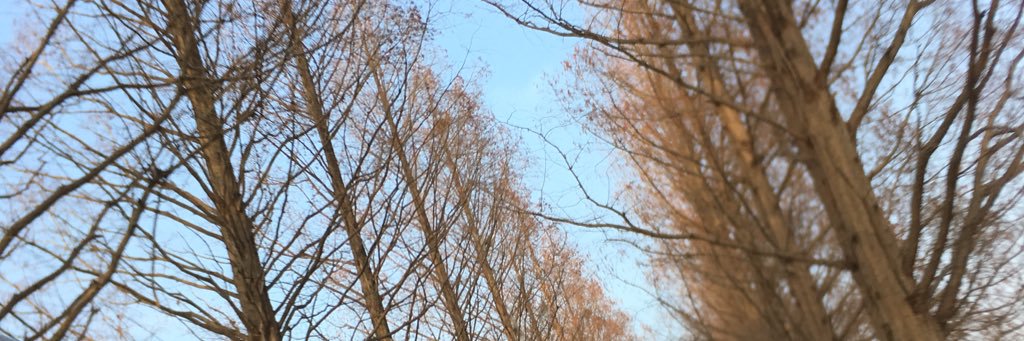 doyboy48's profile banner image