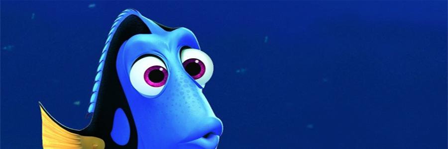 FrancoisMaranda's profile banner image