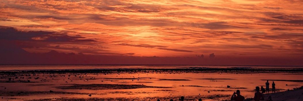 AndreaaF1 🐿 banner