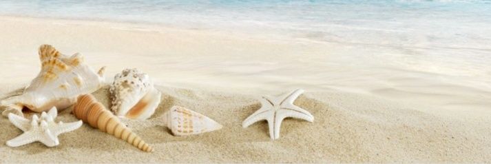 Arlette_00's profile banner image