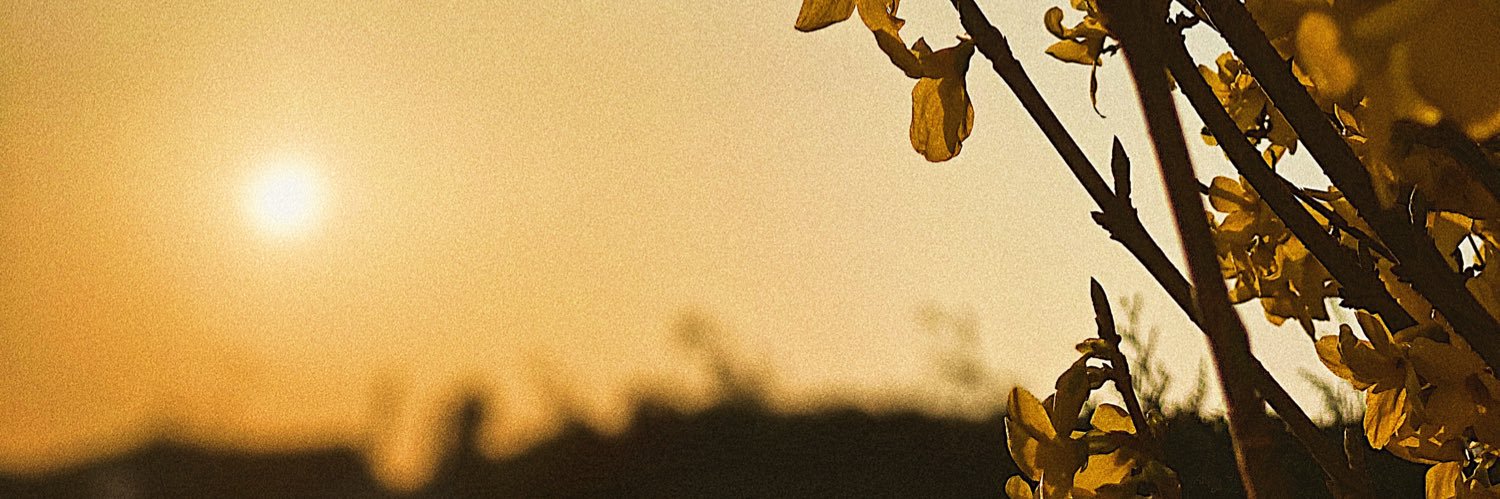 lbngwen2708's profile banner image