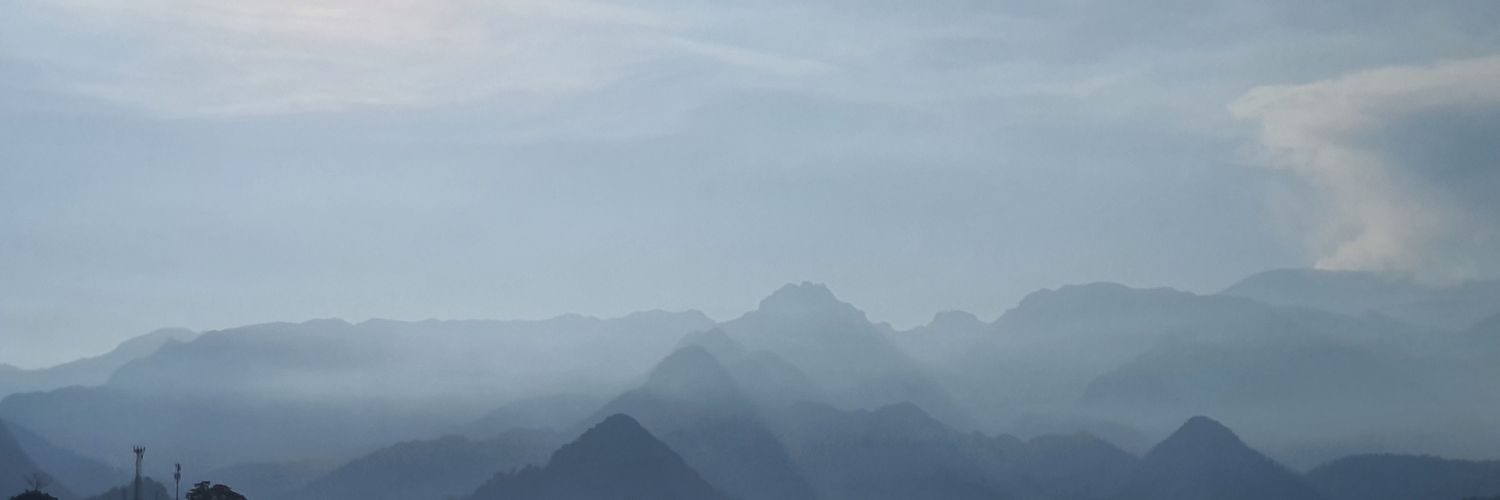 carocarh's profile banner image
