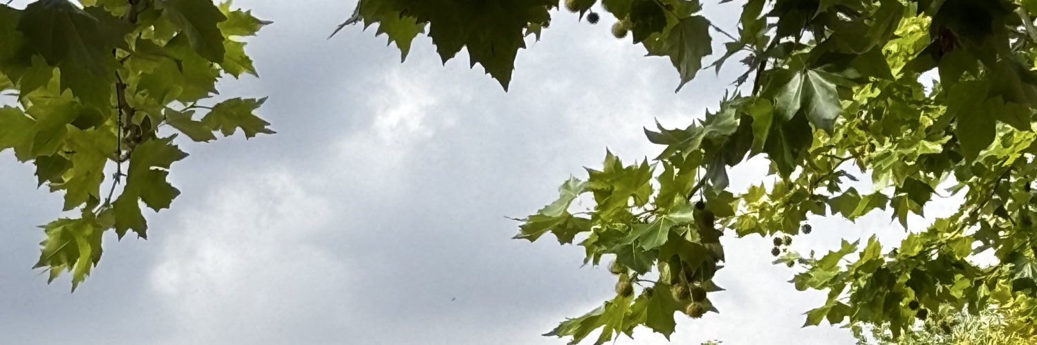 V24002021's profile banner image