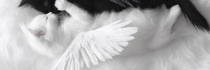 iitsEMA1's profile banner image
