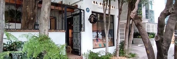 DesastreLibros Profile Banner