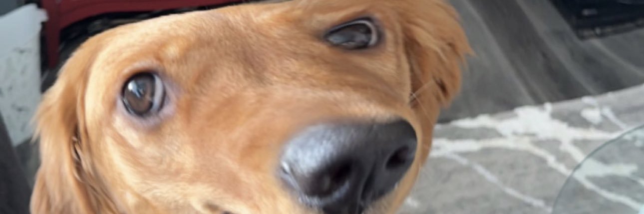 treyjames313's profile banner image