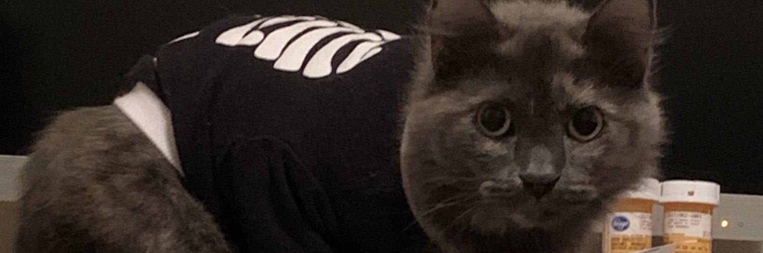 raymo429's profile banner image