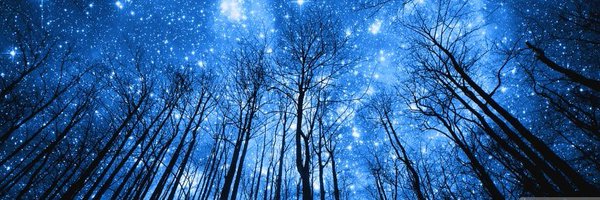 Goflockyaselves Profile Banner