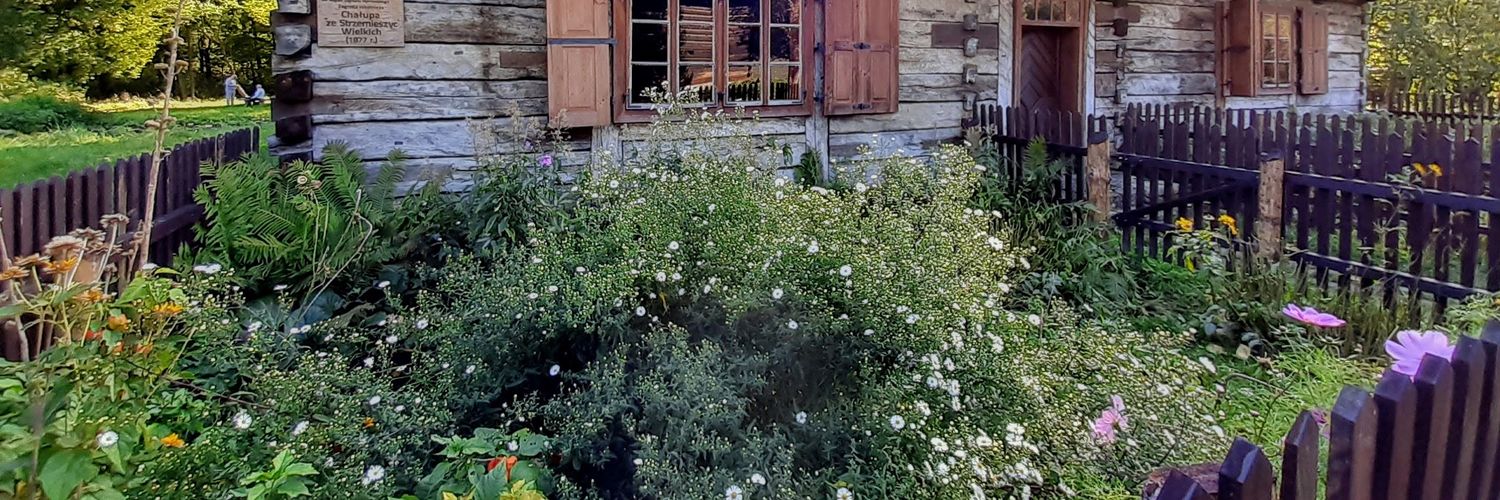 Małgorzata Domaradzka banner