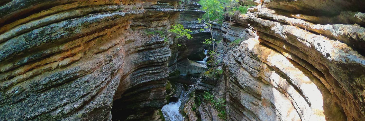 Marko Smiljanic banner