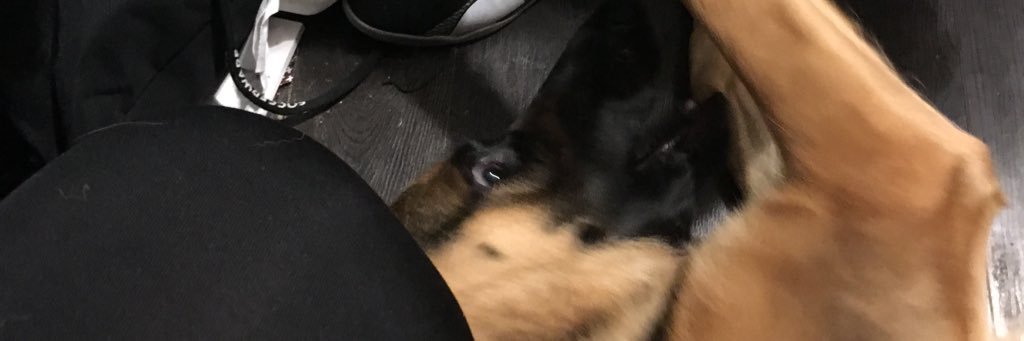 DeejisHaunted's profile banner image