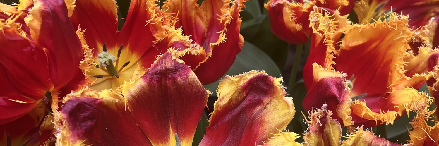 Tre'vell Anderson banner