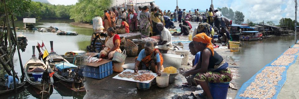 Too Big To Ignore banner