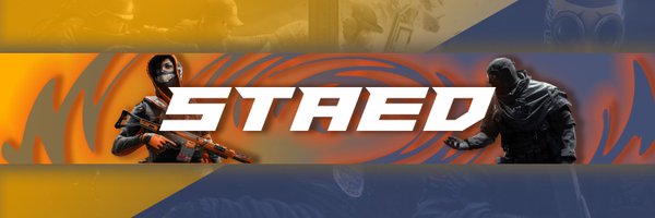 R6Staed Profile Banner